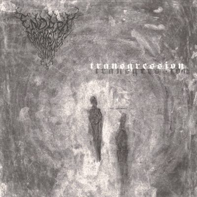 ENDARK THE BRIGHTNESS - Transgression